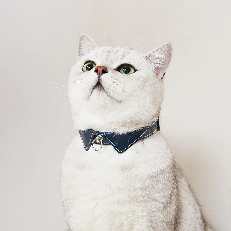 Chic Pet Prestige - Collare in Semilpelle - Amorequattrozampe - Amorequattrozampe