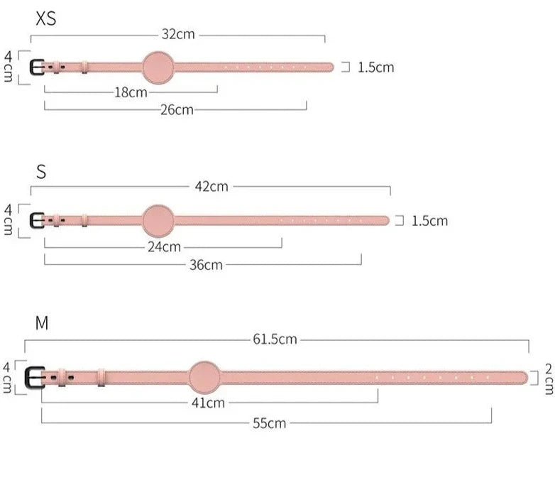 Collare SafeMate e custodia Airtag Zookaria - Amorequattrozampe